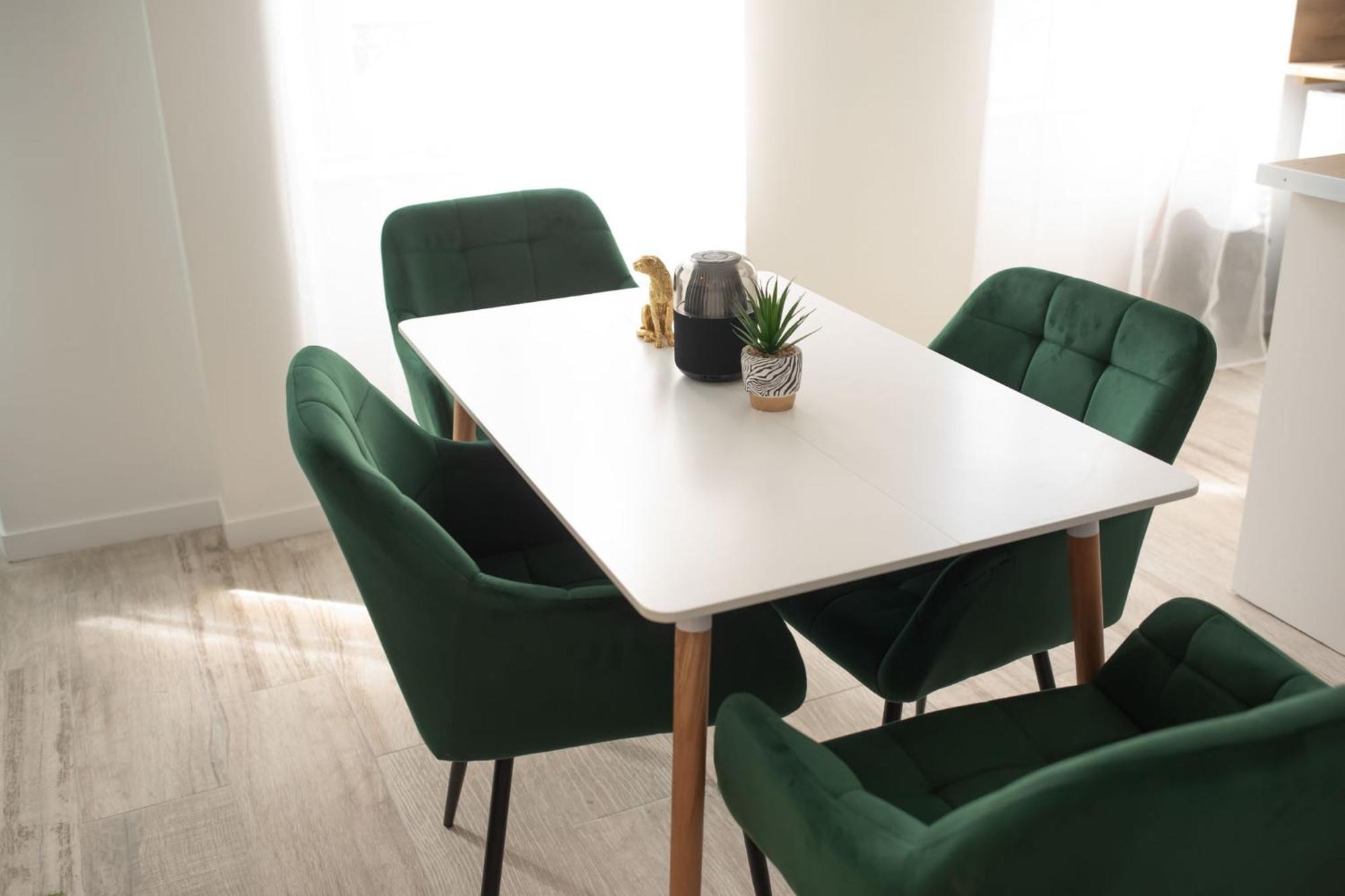 Jungle Appartement Lumineux Plein Centre Boulogne-sur-Mer Extérieur photo