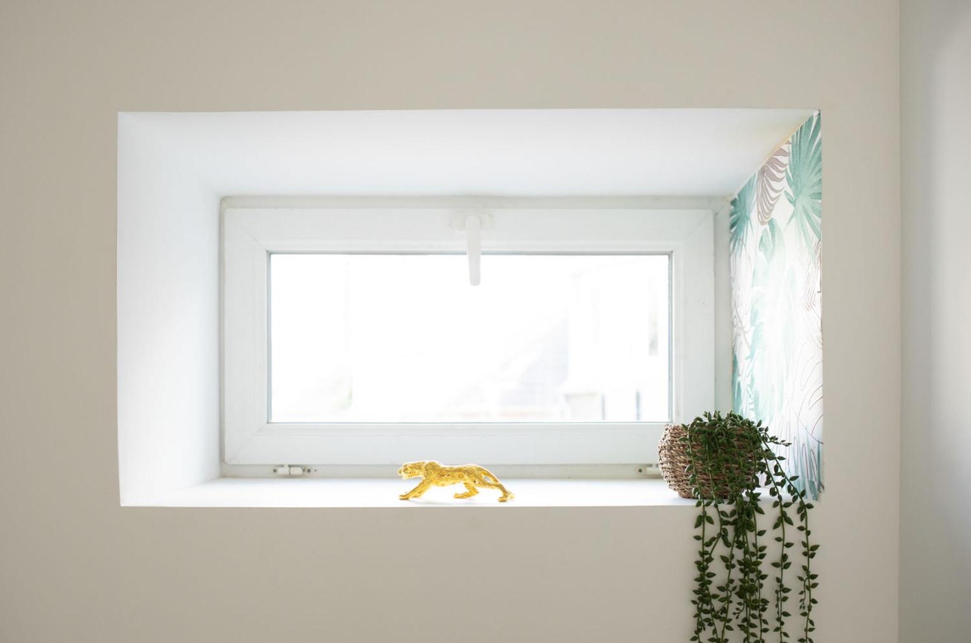 Jungle Appartement Lumineux Plein Centre Boulogne-sur-Mer Extérieur photo