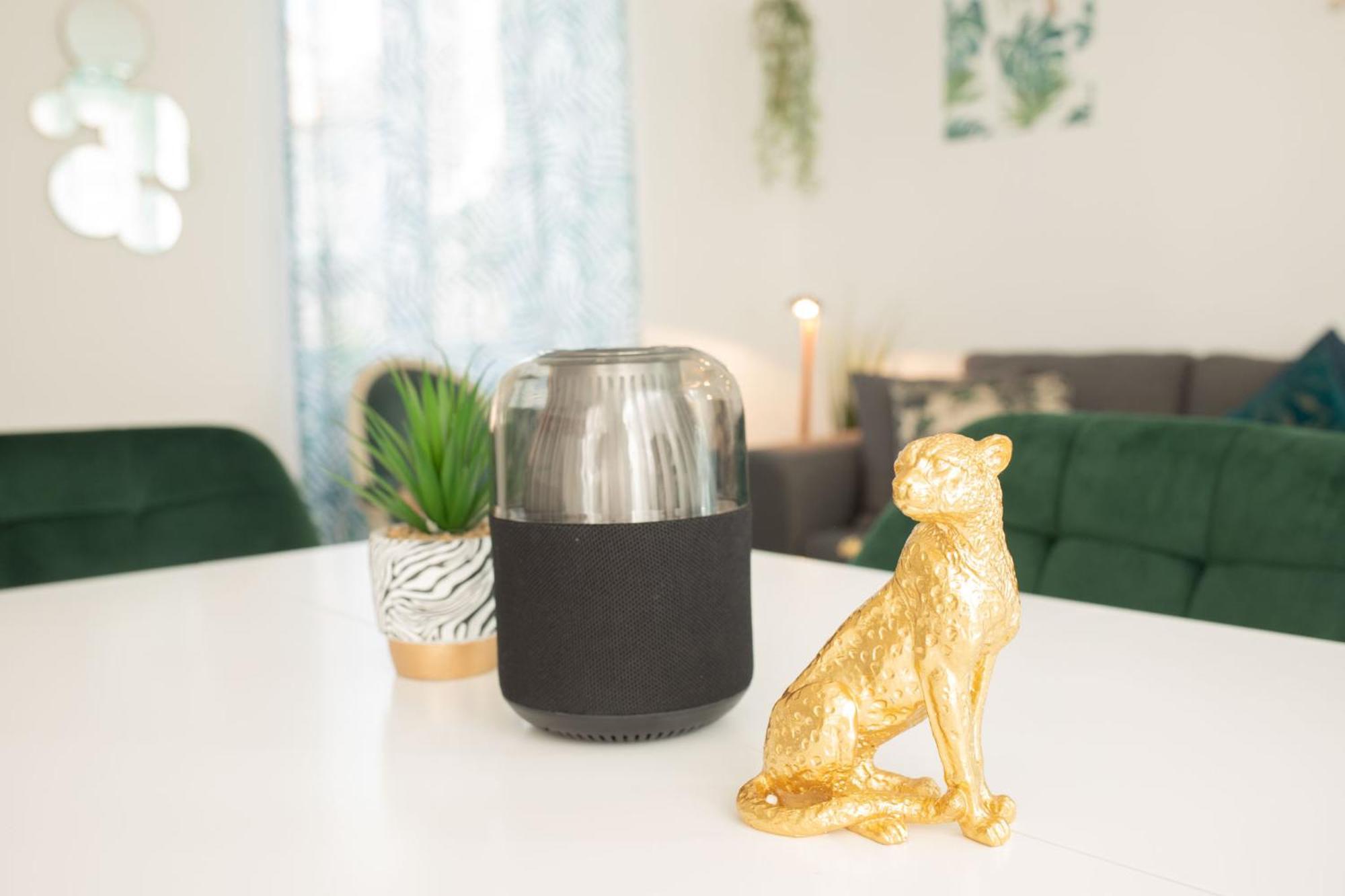 Jungle Appartement Lumineux Plein Centre Boulogne-sur-Mer Extérieur photo