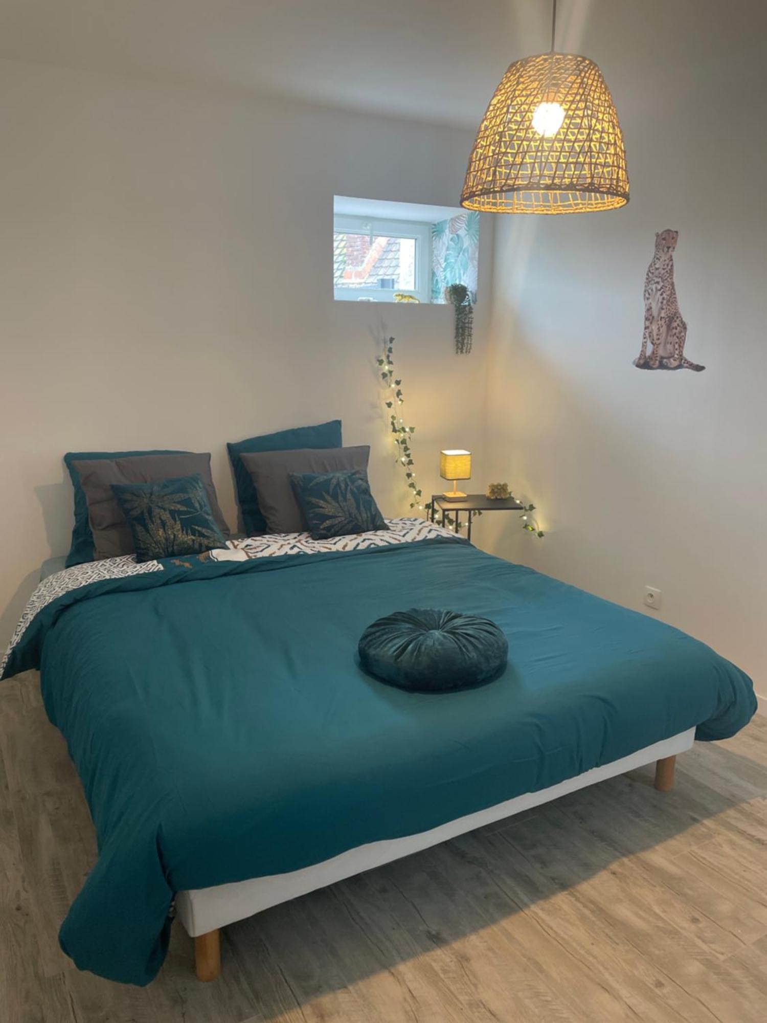 Jungle Appartement Lumineux Plein Centre Boulogne-sur-Mer Extérieur photo
