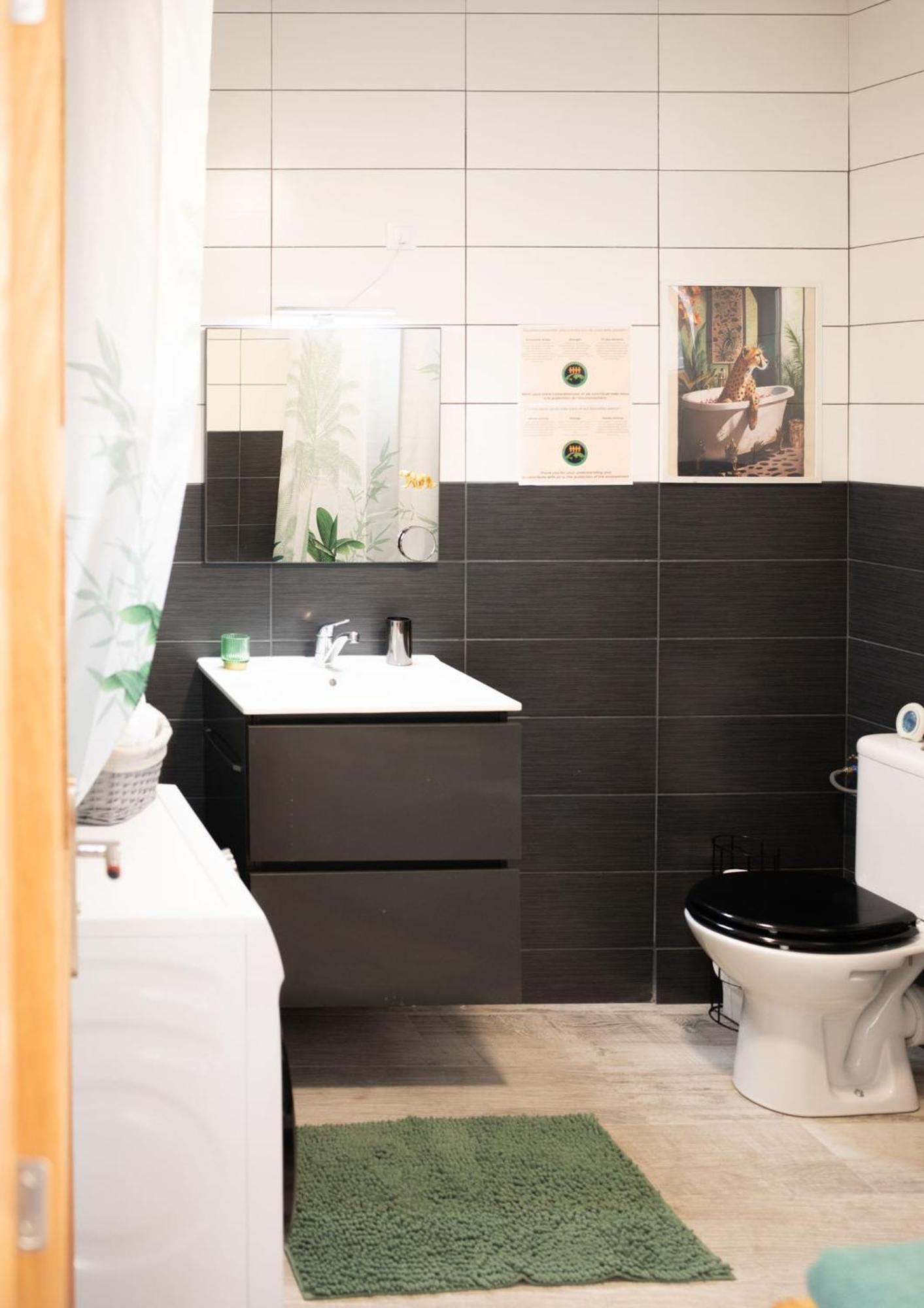 Jungle Appartement Lumineux Plein Centre Boulogne-sur-Mer Extérieur photo