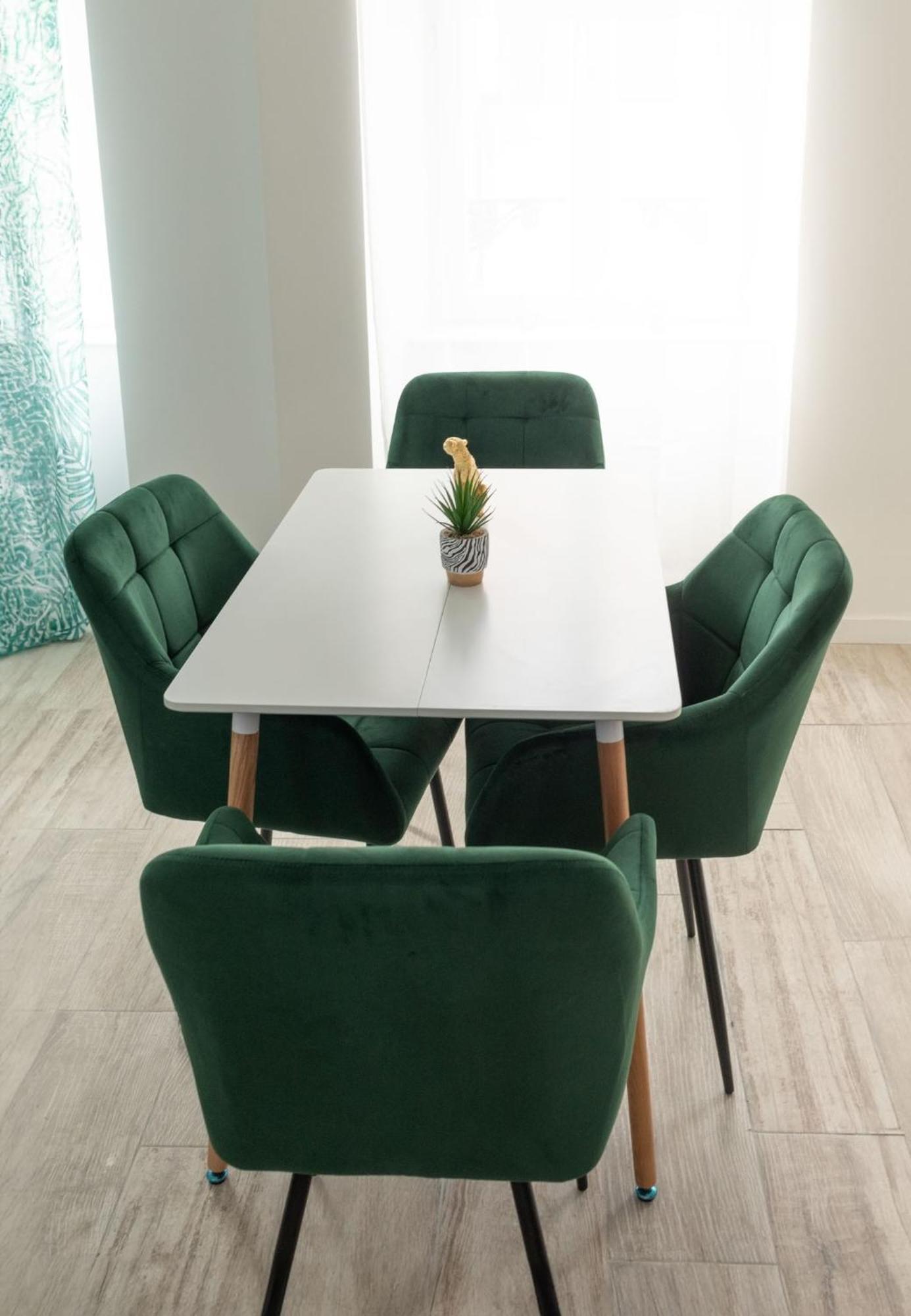 Jungle Appartement Lumineux Plein Centre Boulogne-sur-Mer Extérieur photo