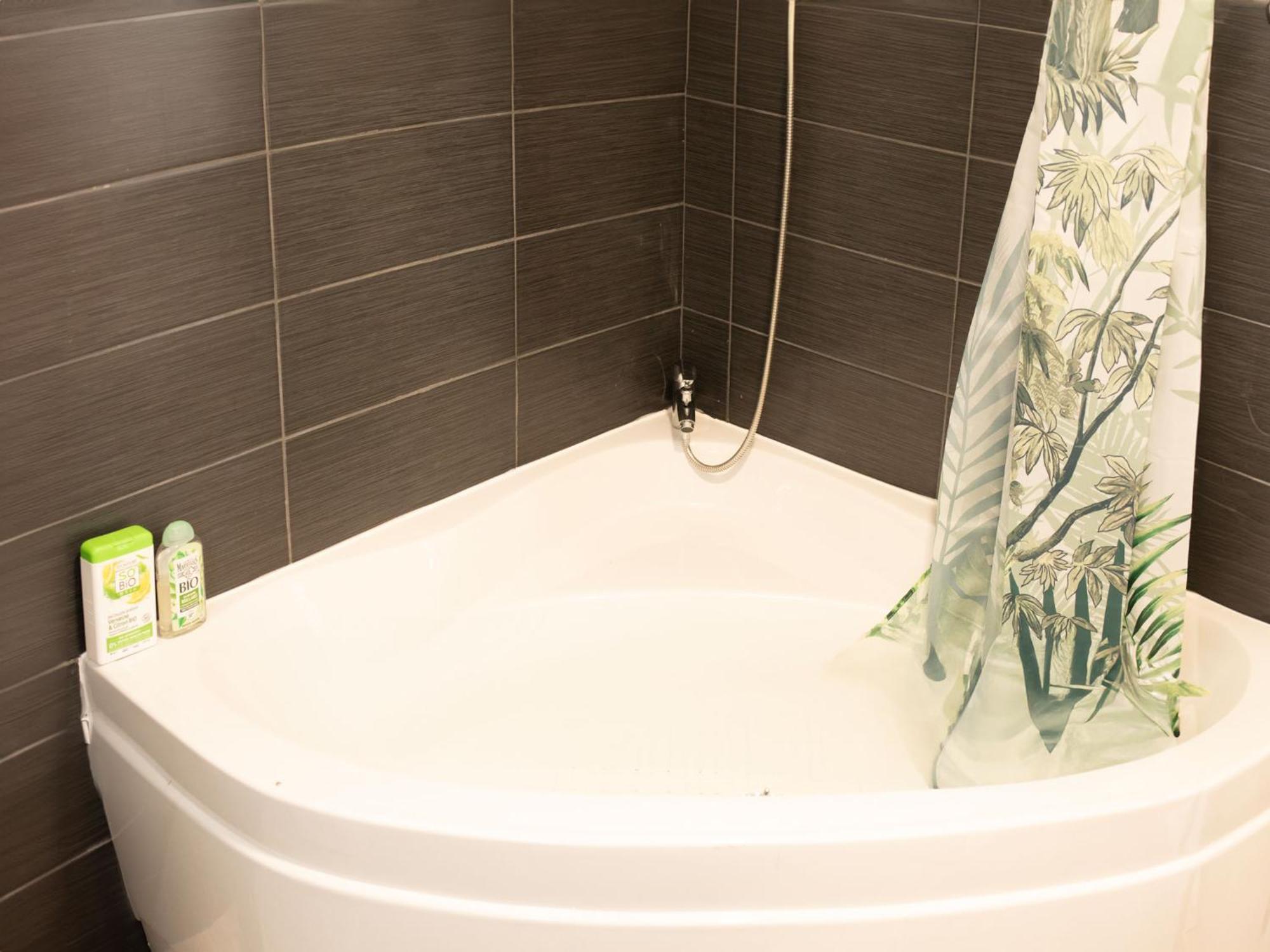 Jungle Appartement Lumineux Plein Centre Boulogne-sur-Mer Extérieur photo